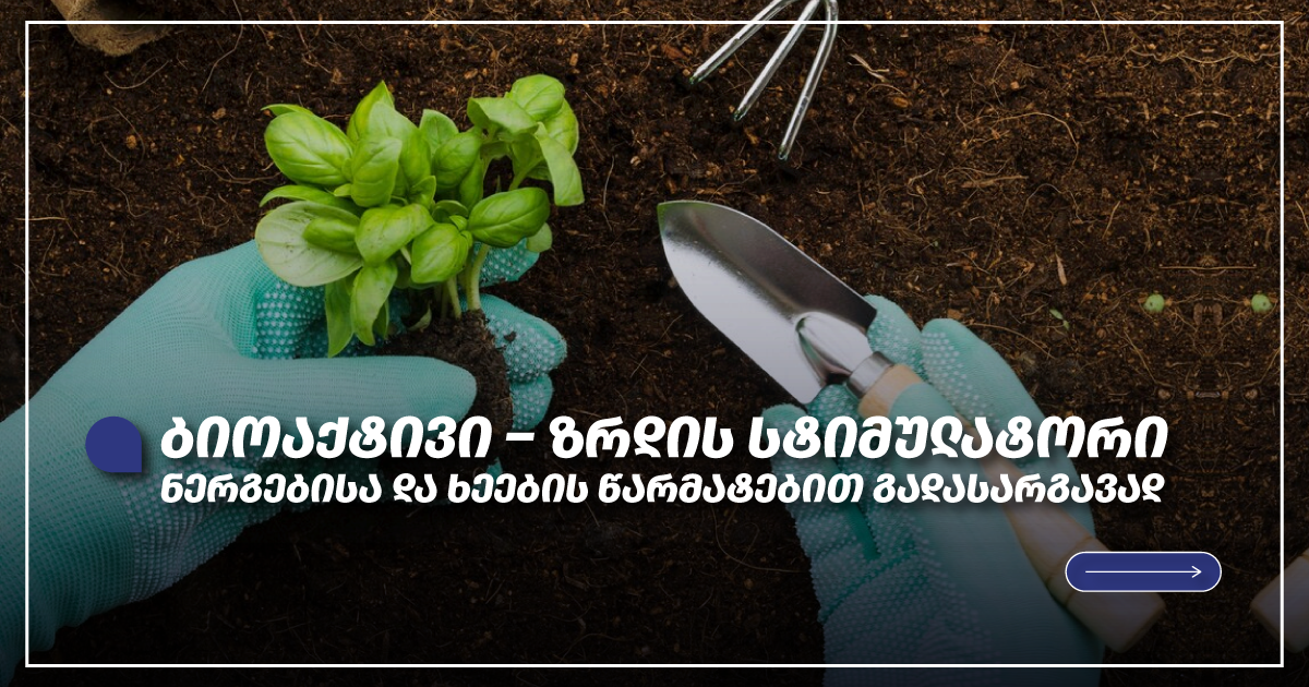 ბიოაქტივი: ზრდის სტიმულატორი ნერგებისა და ხეების წარმატებით გადასარგავად
