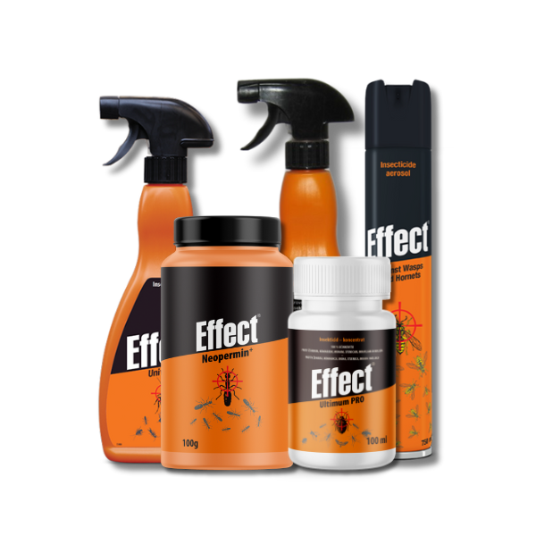 EFFECT პროფესიონალური ინსექტიციდები