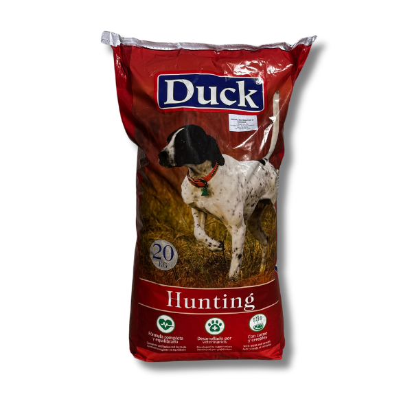 Duck - a hunting dog