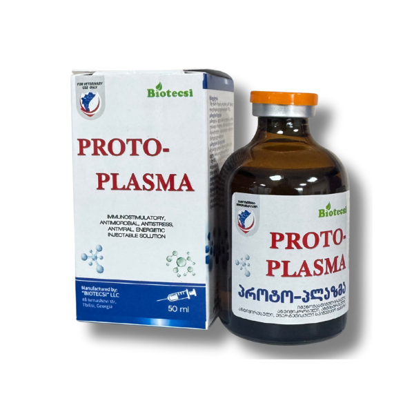 პროტოპლაზმა (Protoplazma)