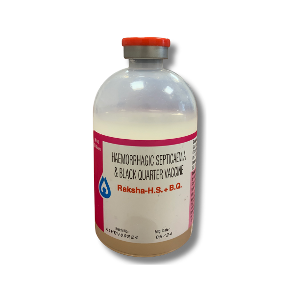 რაქშა HS+BQ / RAKSHA HS+BQ