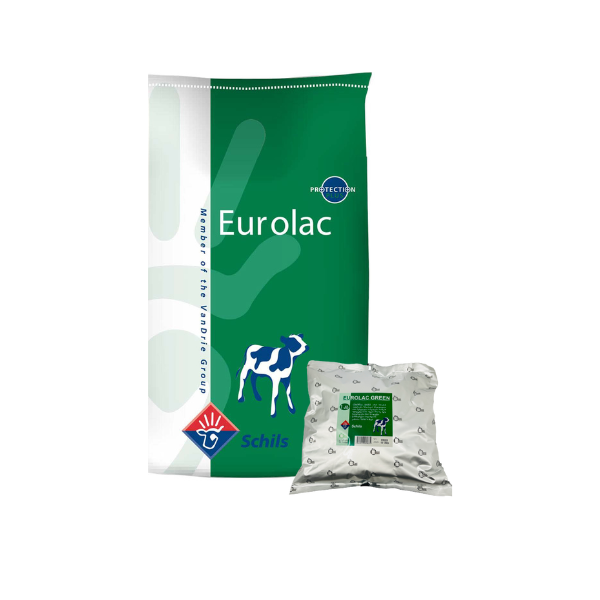 ეუროლაკ გრინი