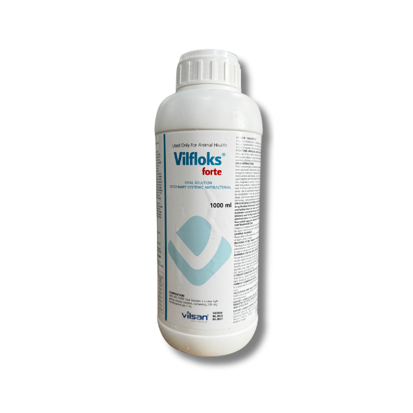ვილფლოქს ფორტე / Vilfloks forte